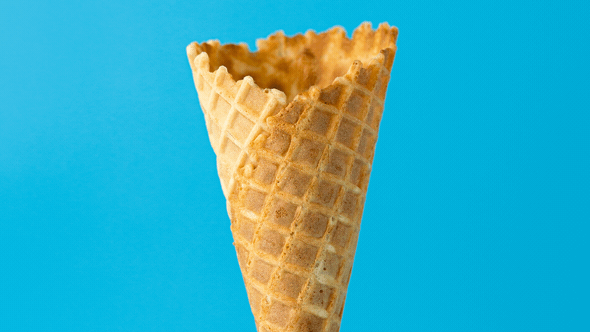 AE模板 有趣动物角色绑定动作卡通MG动画预设工具包V2 Animal Character Animation Explainer Toolkit插图7