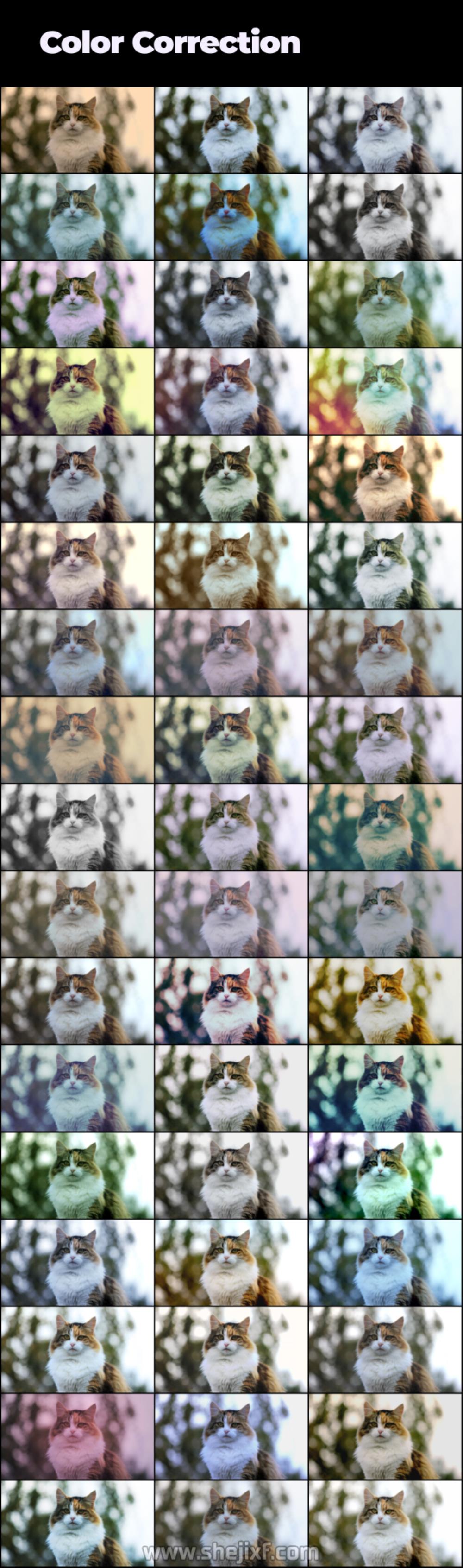 4300多款社交新媒体海报标题图标背景元素动画视频模板素材 Motion Graphics Pack插图45