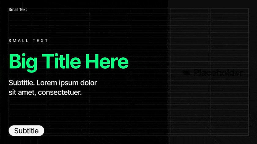 AE脚本 2000组图层运动出入文字标题字幕缓入缓出动画预设 Presets Pro插图4