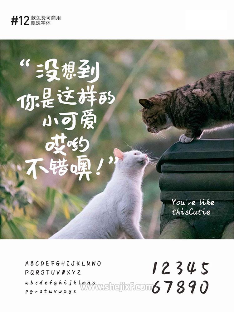 图片 1